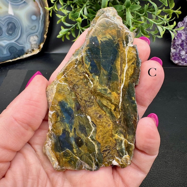 Polished Opalized Petrified Wood Slabs from Indonesia - Your Choice C