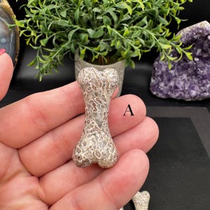 Puede incluir: Una peque&ntilde;a talla de piedra con forma de hueso que presenta una superficie moteada y texturizada con intrincados patrones marrones y crema. El objeto est&aacute; marcado con la letra A en tinta negra en su lateral, con un acabado pulido.