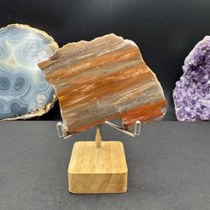 Arizona Petrified Wood Slab - Polished On One Side