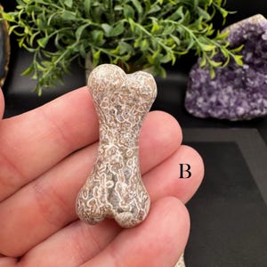 Puede incluir: Una peque&ntilde;a talla de piedra con forma de hueso que presenta una superficie texturizada y moteada con patrones intrincados en tonos beige, tostado y blanco. El objeto est&aacute; marcado con la letra B, indicando su identificaci&oacute;n en la colecci&oacute;n.