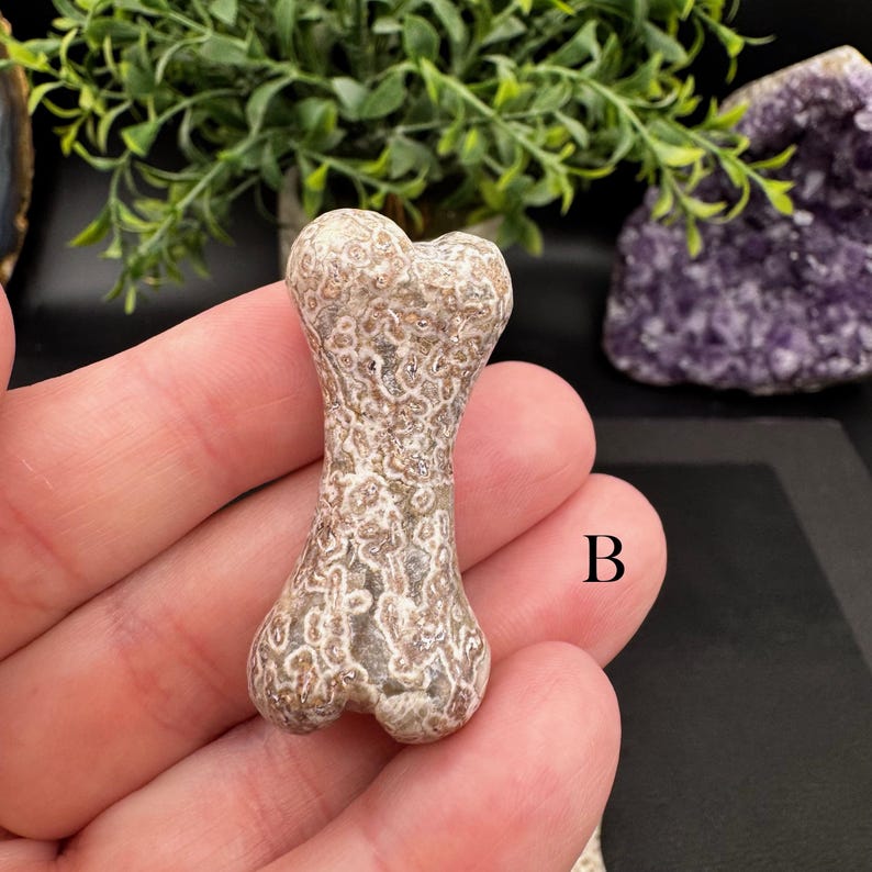 Puede incluir: Una peque&ntilde;a talla de piedra con forma de hueso que presenta una superficie texturizada y moteada con patrones intrincados en tonos beige, tostado y blanco. El objeto est&aacute; marcado con la letra B, indicando su identificaci&oacute;n en la colecci&oacute;n.