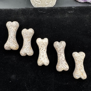 Puede incluir: Cinco tallas con forma de hueso hechas de una piedra moteada con patrones en beige y marr&oacute;n. Cada pieza presenta una superficie lisa y pulida con intrincadas texturas org&aacute;nicas en espiral, dispuestas en una l&iacute;nea diagonal de arriba a abajo.