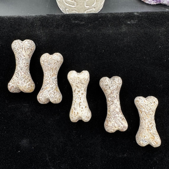 Atlasaurus Dinosaur Bone Fossil Bone Carving - Genuine Dino Bone! UV Reactive!