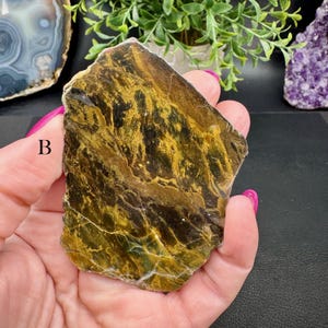 Polished Opalized Petrified Wood Slabs from Indonesia - Your Choice B