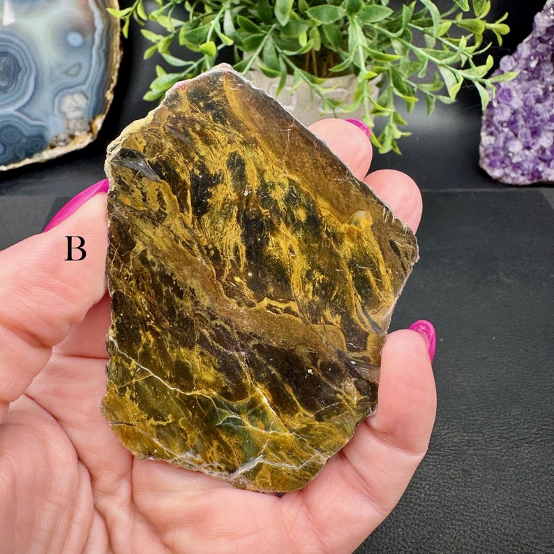 Polished Opalized Petrified Wood Slabs from Indonesia - Your Choice B