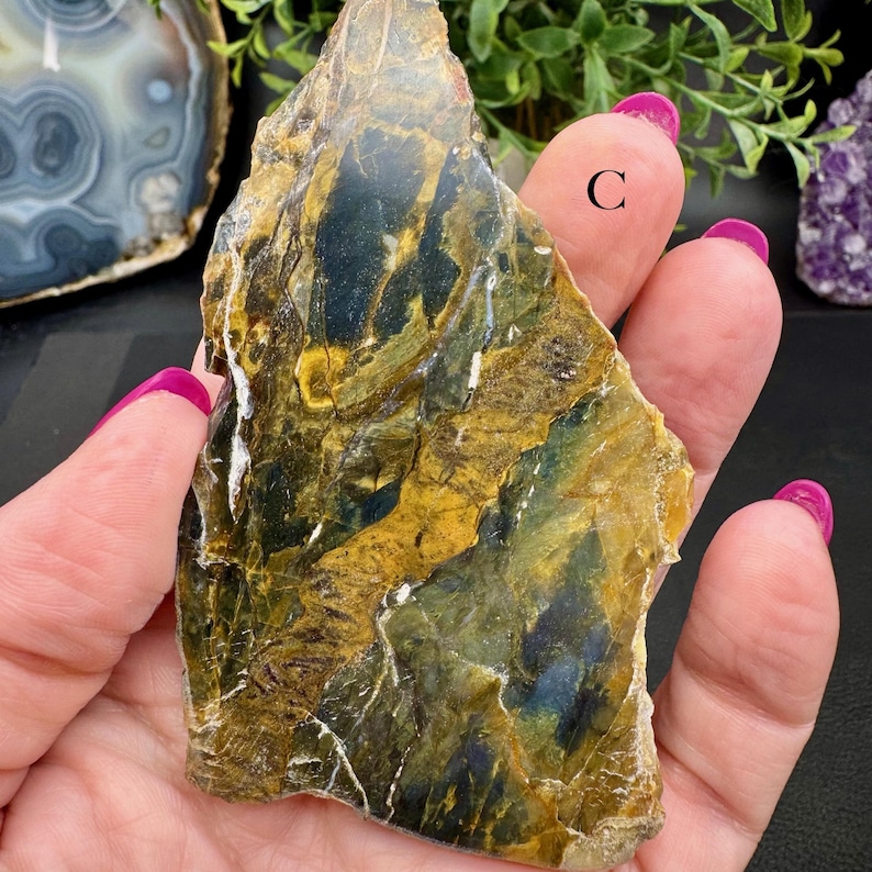 Polished Opalized Petrified Wood Slabs from Indonesia - Your Choice bild 8