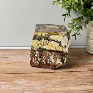 May include: A natural stone specimen with a layered appearance. The rock features bands of gray, tan, black, and reddish-brown hues. The stone has a rough, textured surface and is displayed on a wooden surface.