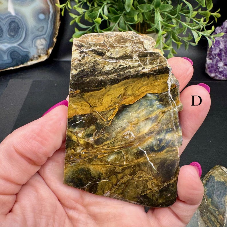 Polished Opalized Petrified Wood Slabs from Indonesia - Your Choice D