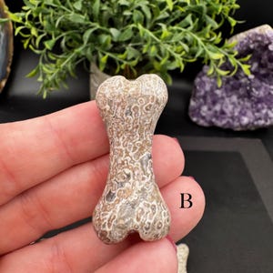 Puede incluir: Una talla con forma de hueso hecha de piedra pulida con un patr&oacute;n moteado en beige y marr&oacute;n que presenta inclusiones circulares similares al encaje en toda la superficie. El objeto est&aacute; marcado con la letra B en fuente negra a la derecha.