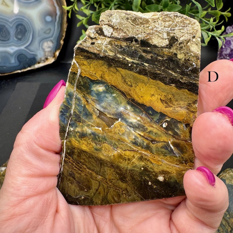 Polished Opalized Petrified Wood Slabs from Indonesia - Your Choice bild 10