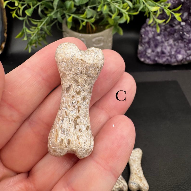 Puede incluir: Una peque&ntilde;a talla de piedra con forma de hueso que presenta una superficie texturizada y moteada en tonos beige, tostado y blanco. El objeto est&aacute; marcado con la letra C. La piedra tiene un acabado pulido y un patr&oacute;n irregular distintivo.