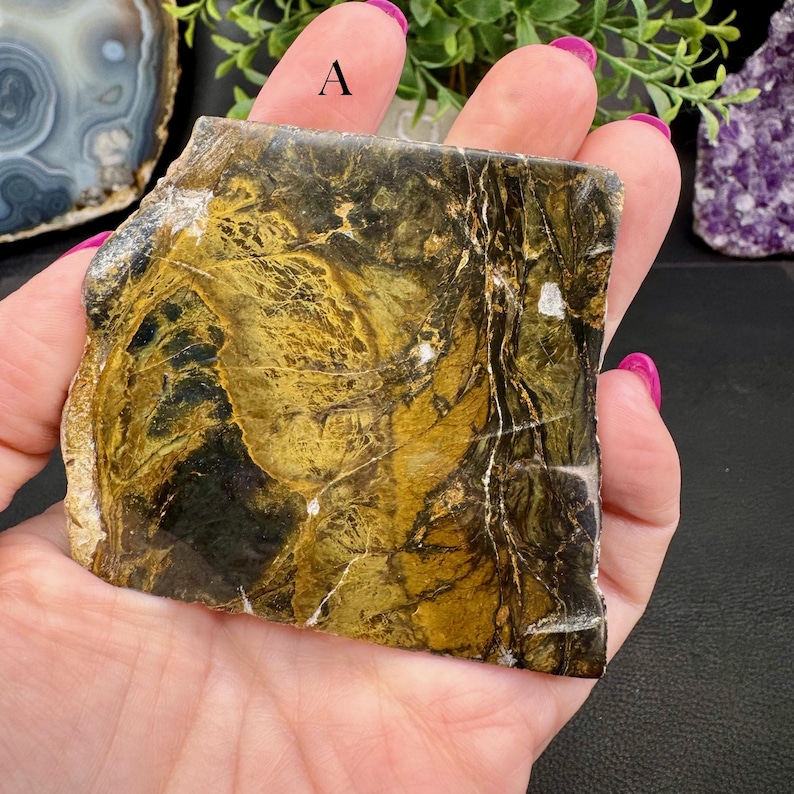 Polished Opalized Petrified Wood Slabs from Indonesia - Your Choice bild 4