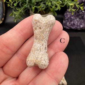 Puede incluir: Una talla de piedra con forma de hueso que presenta una superficie moteada y texturizada en tonos beige, crema y marr&oacute;n claro. El objeto tiene un acabado liso y pulido, marcado con la letra C en el lateral, mostrando un patr&oacute;n mineral natural.