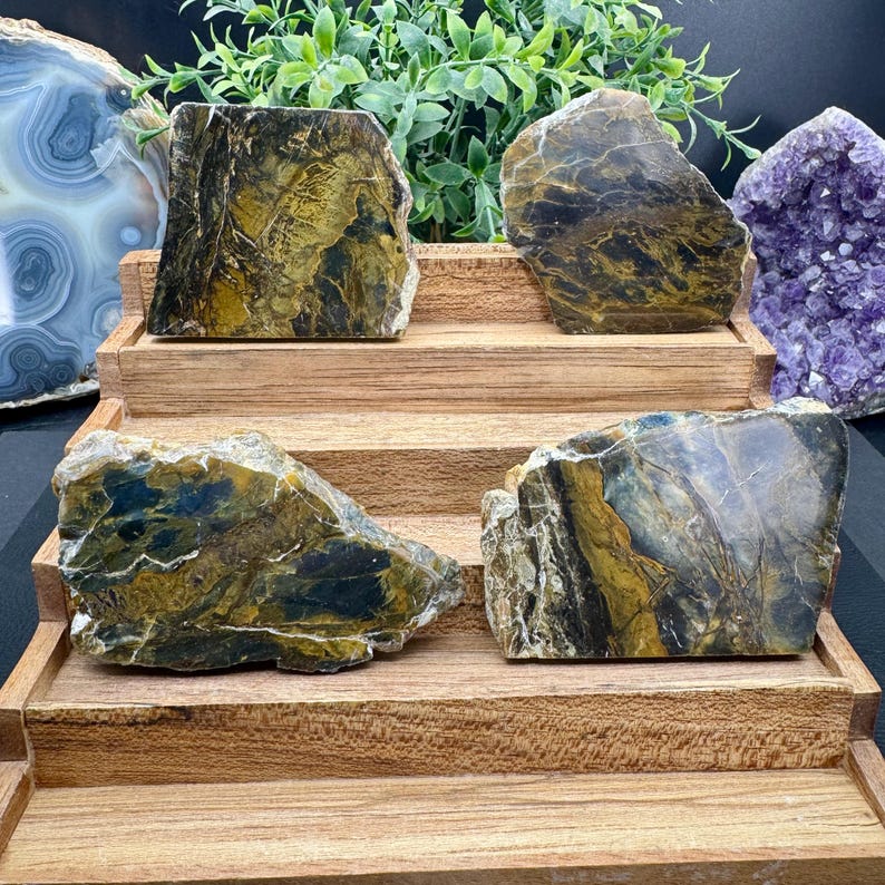 Polished Opalized Petrified Wood Slabs from Indonesia - Your Choice bild 2