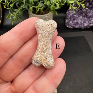 Puede incluir: Una peque&ntilde;a piedra de color canela con forma de hueso, superficie texturizada y porosa, y patrones minerales visibles. El objeto est&aacute; marcado con la letra E en texto negro. La piedra presenta una forma redondeada e irregular en tonos crema.