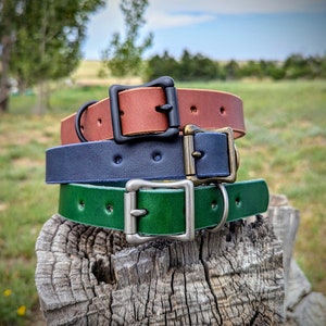 Leather Dog Collar