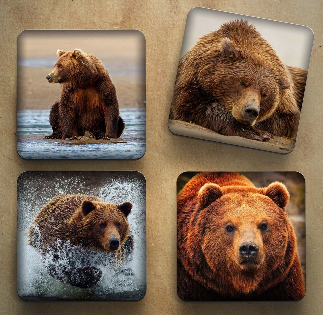 Brown Bear Coasters / Grizzly Bear Coaster Set / Wildlife Coasters for ...