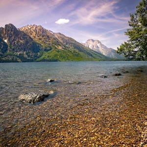 Jenny Lake Grand Tetons Fotografie