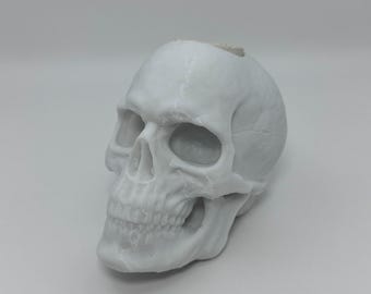 Aquarium Frag Skull For Encrusting Corals
