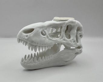 Aquarium Frag Trex Skull For Encrusting Corals