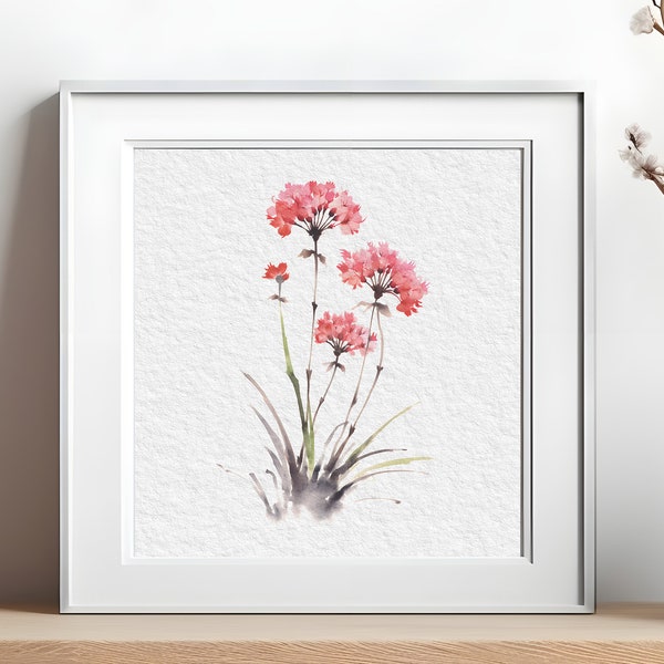 Armeria Maritima flower Watercolor illustration. Minimalistic floral art for any space.