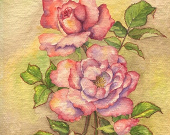 Vintage Pink Purple Garden Roses Rose Bud Leaf Flowers Botanical Horticulture Original Watercolor Painting Listed Alameda California Artist.