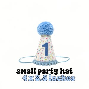 sprinkles party hat with baby blue accents and pool blue number 1