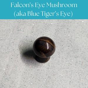 Mini Carved Falcon&#39;s Eye Mushroom - aka Blue Tiger&#39;s Eye | Pocket Crystal, Mushroom Stone, Blue Gemstone, Cottagecore Decor