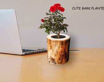 DigiKraft Office Juego de macetas de corteza de madera para plantas (madera)