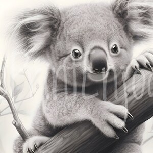Koala drawing art printable instant download