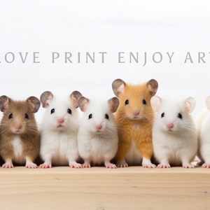 Hamsters