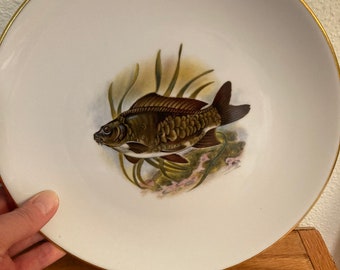 Set of 4 Vintage Royal Worcester fish plates