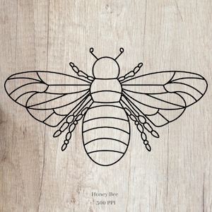 Bee Clip art, Line art bee SVG and PNG, Honey Bee Clipart, Bee clip art, Free Commercial Use, Digital Bee PNG, Bee Image File