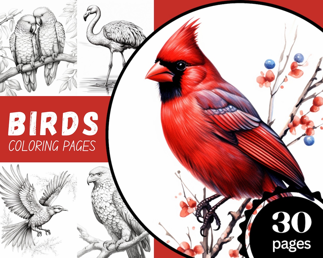 Realistic Birds Coloring Pages, Birds Coloring Book for Adults, Bird ...