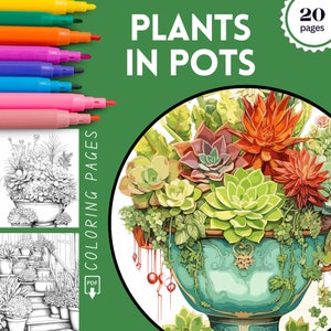 Succulents and Plants in Pots Coloring Pages, Succulents Coloring Book for Adults, Plant Coloring, Download Coloring Page, Printable PDF