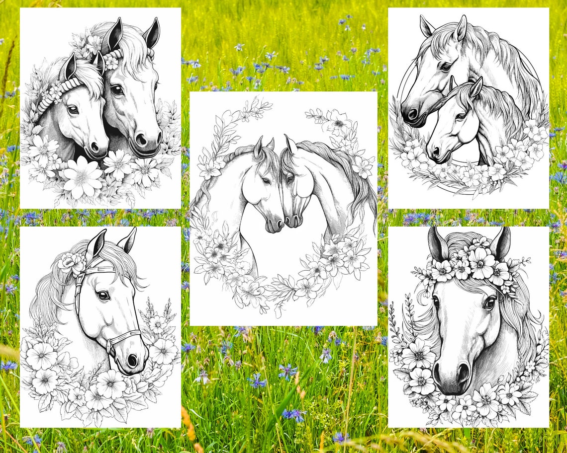 Beautiful Horses Coloring Pages for Adults, Coloring Book for Adults ...