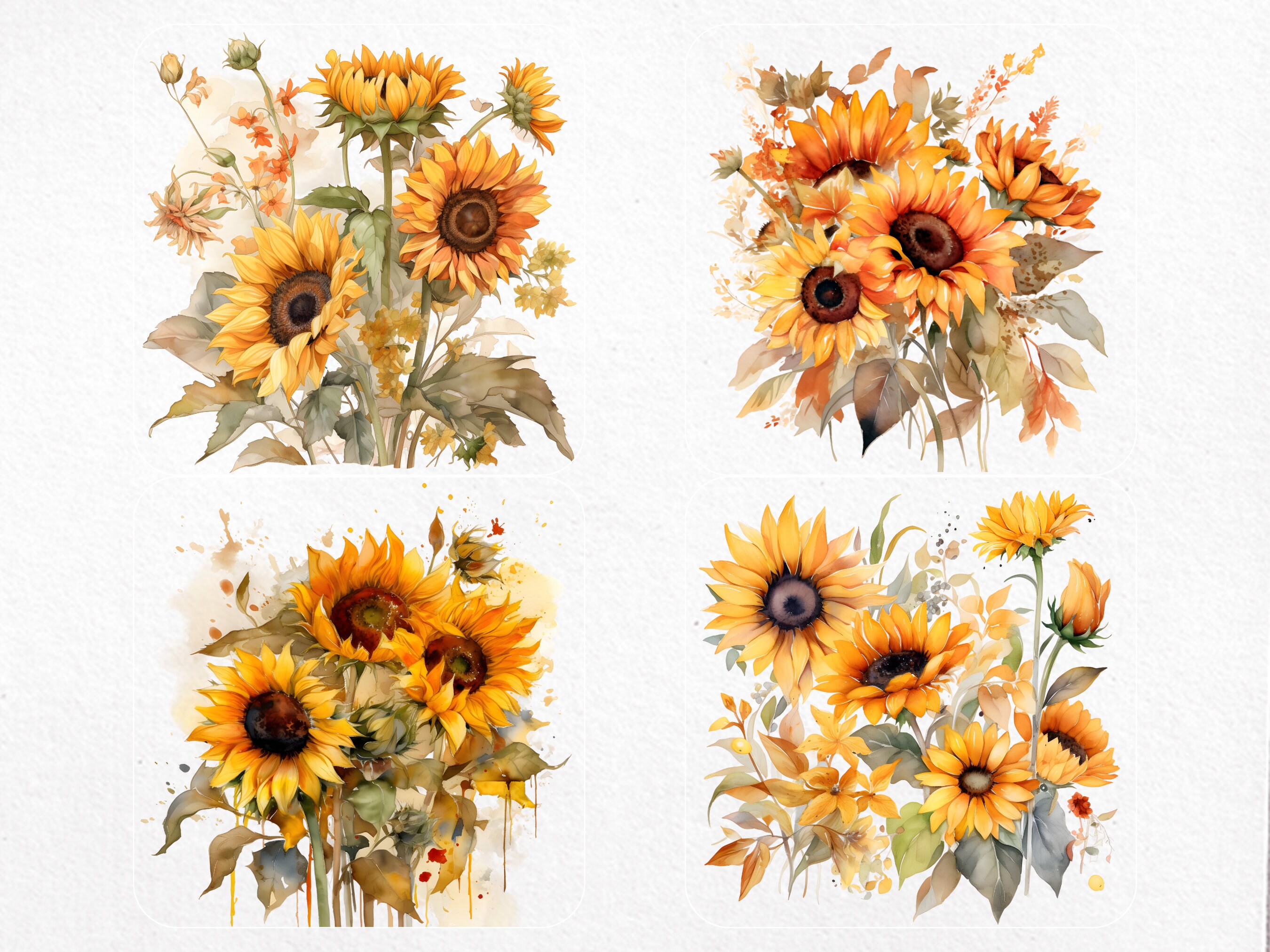 Watercolor Sunflower Clipart in PNG Format,for Commercial Use, Floral ...