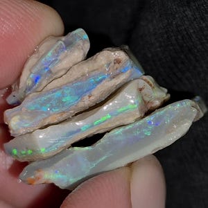 Op de afbeelding: Een verzameling ruwe opaalstenen, met iriserende flitsen van blauw, groen en geel. De ruwe, natuurlijke textuur van de opalen is zichtbaar, met een crèmewitte basiskleur. De stenen worden in een hand gehouden, wat hun unieke schoonheid benadrukt.