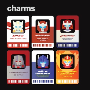 MTMTE Ausweisanhänger