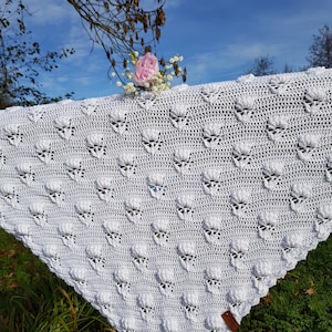 Patrón de clavel, Patrón de crochet, chal de crochet, gráfico solo, diagrama gráfico, bufanda hecha desde abajo