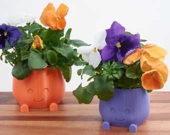 Cute plant pot Smiling Pot Smiley Face Pot Sprinkle Some Joy in Your Plant Corner Playful Planter A Dash of Humor for Your Indoor Garden