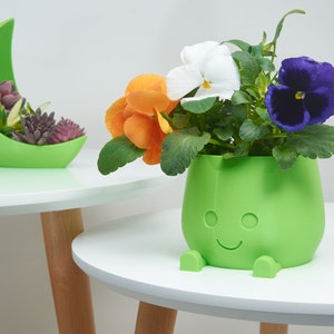 plant pot
decorative pot
happy face pot
orange green pot
indoor pot
indoor planter
indoor pot gift
cute pot