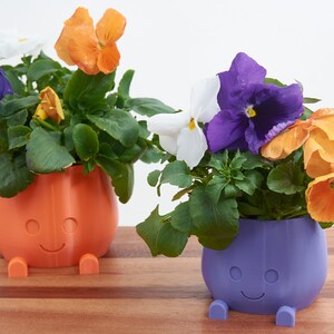 plant pot
decorative pot
happy face pot
orange very peri colour pot
indoor pot
indoor planter
indoor pot gift
cute pot