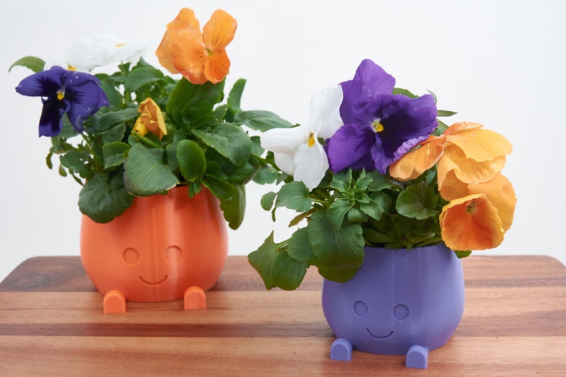 plant pot
decorative pot
happy face pot
orange very peri colour pot
indoor pot
indoor planter
indoor pot gift
cute pot