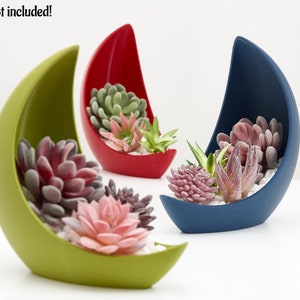 Crescent Planter - Modern Decorative Pot for Faux Succulents - Green, Red and Blue