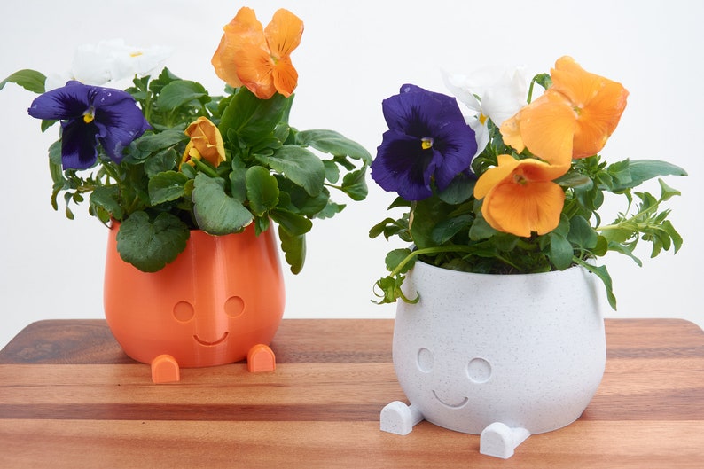 plant pot
decorative pot
happy face pot
orange white rock pot
indoor pot
indoor planter
indoor pot gift
cute pot