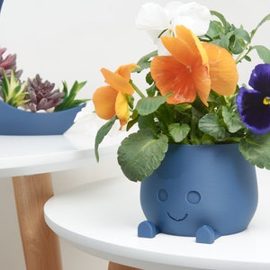plant pot
decorative pot
happy face pot
orange green pot
indoor pot
indoor planter
indoor pot gift
cute pot
blue pot