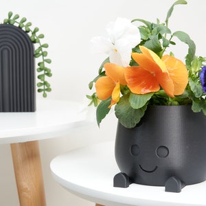 plant pot
decorative pot
happy face pot
orange green pot
indoor pot
indoor planter
indoor pot gift
cute pot
black pot