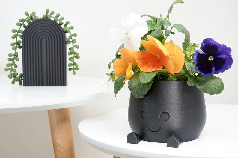 plant pot
decorative pot
happy face pot
orange green pot
indoor pot
indoor planter
indoor pot gift
cute pot
black pot