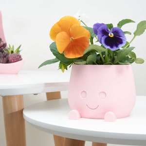 plant pot
decorative pot
happy face pot
orange pink green pot
indoor pot
indoor planter
indoor pot gift
cute pot
